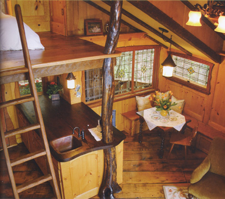 \"treehouse9.jpg\"